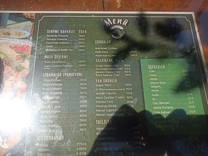 Fotoğraf 31