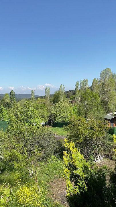 Fotoğraf 66