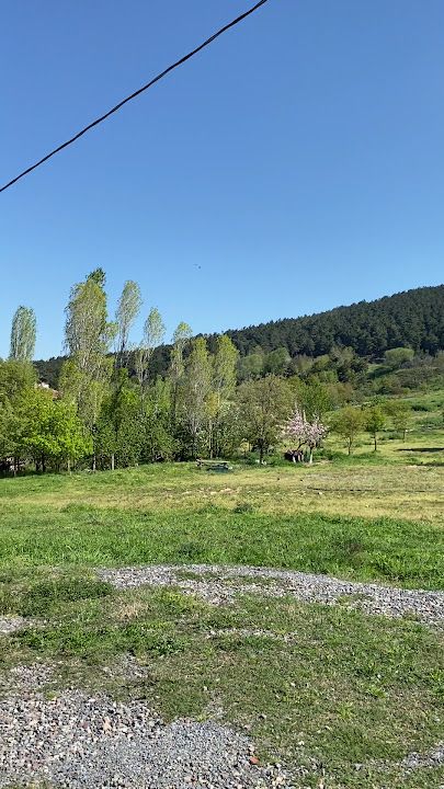 Fotoğraf 65