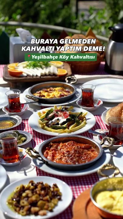 Fotoğraf 25