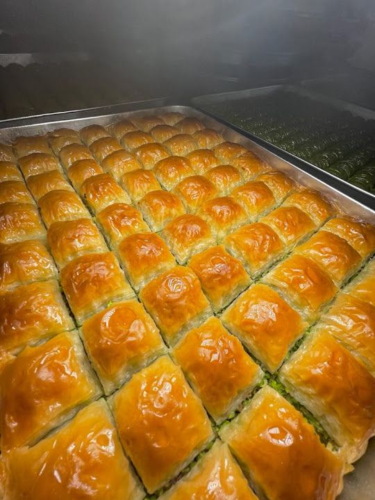 Fotoğraf 12