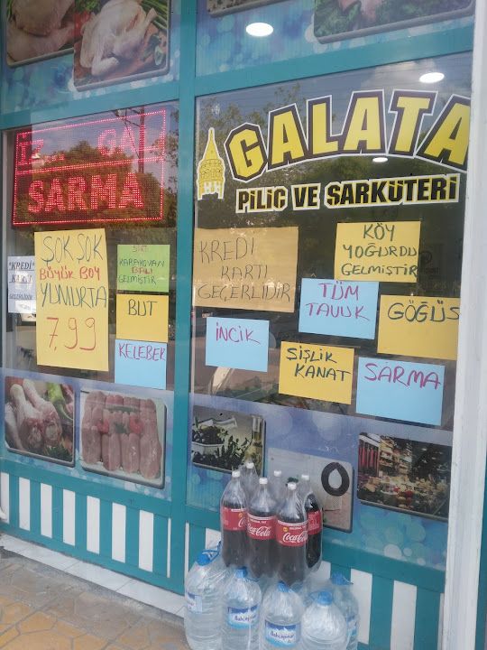 Fotoğraf 10
