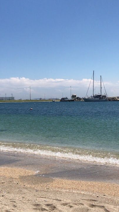 Fotoğraf 46