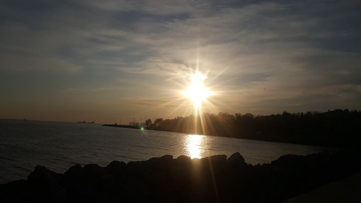 Fotoğraf 16