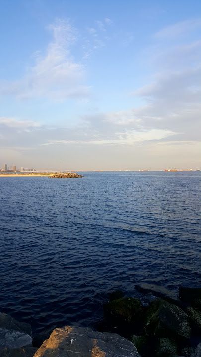 Fotoğraf 19