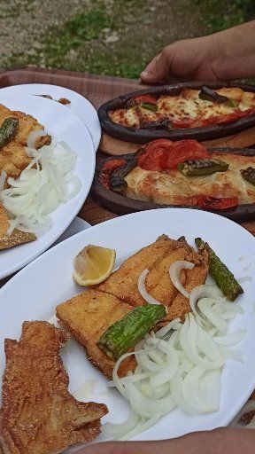 Fotoğraf 31