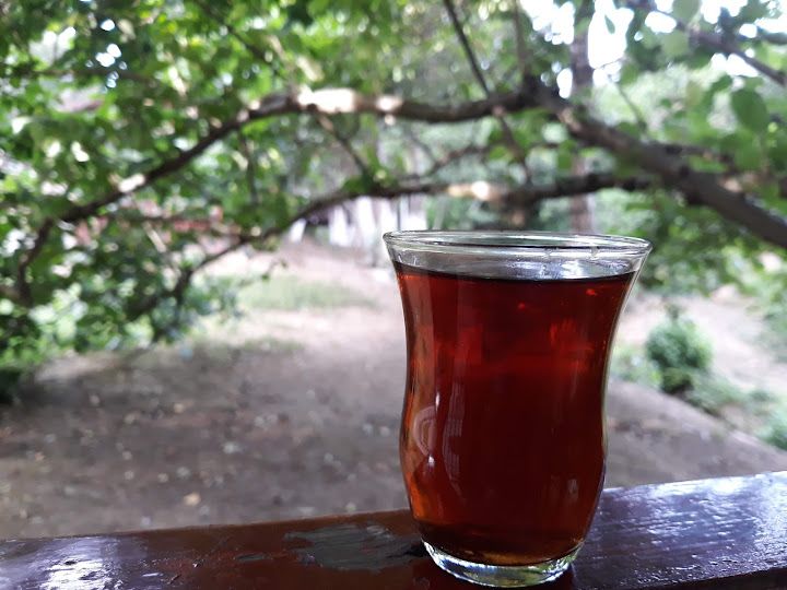 Fotoğraf 12