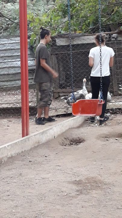 Yorum fotoğrafı 3