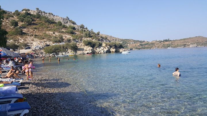 Fotoğraf 14