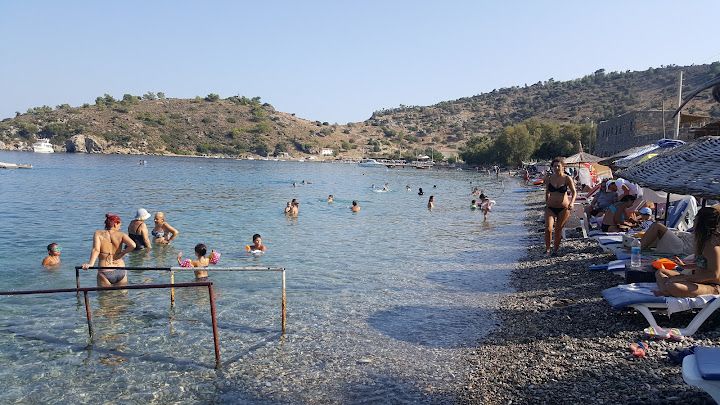 Fotoğraf 13
