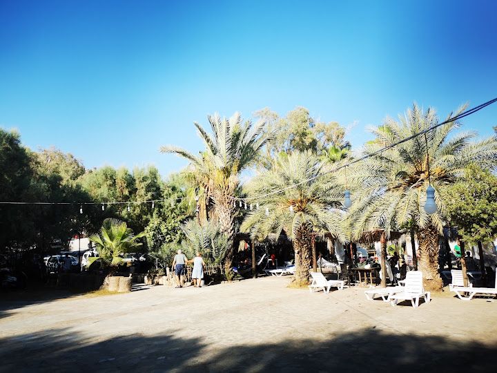 Fotoğraf 44