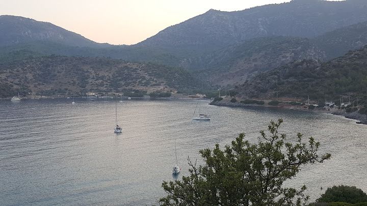 Fotoğraf 11