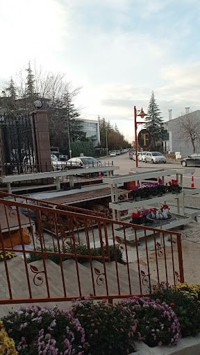 Yorum fotoğrafı 6