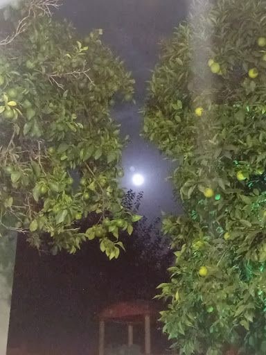 Yorum fotoğrafı 4