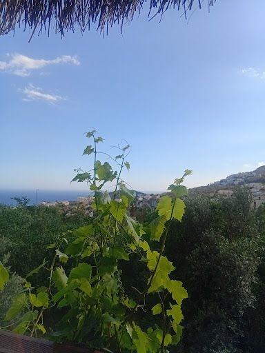 Yorum fotoğrafı 5