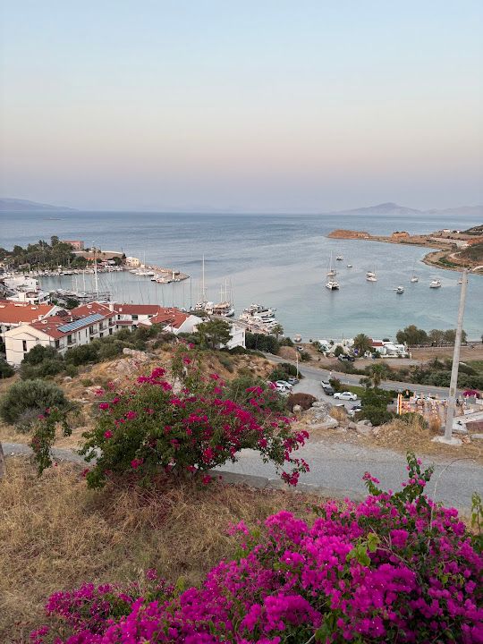 Fotoğraf 50