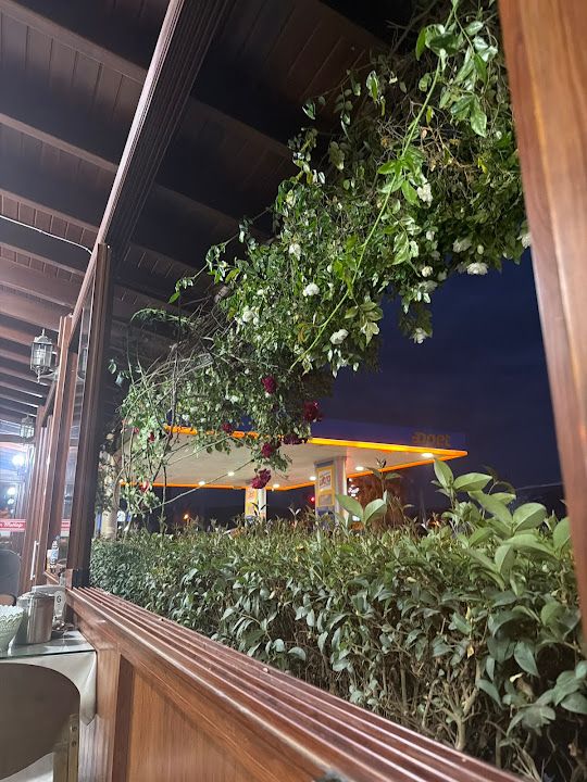 Fotoğraf 31