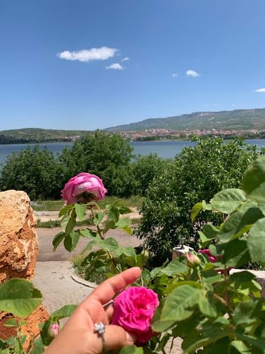 Yorum fotoğrafı 3