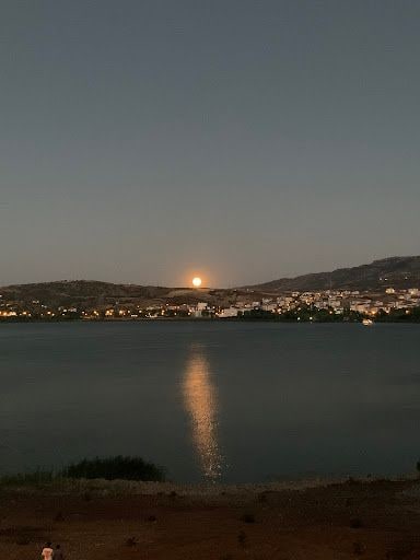 Yorum fotoğrafı 5