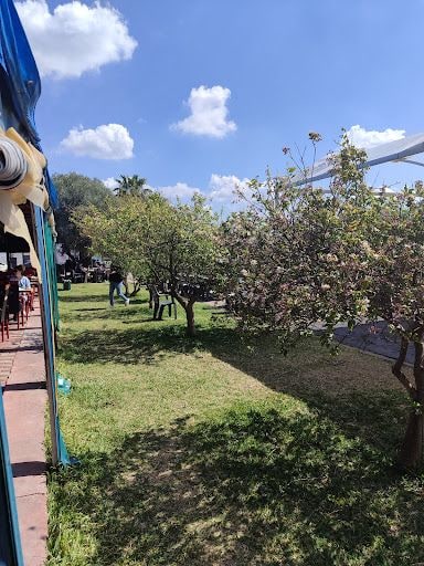 Fotoğraf 30