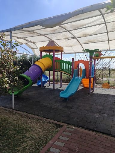 Fotoğraf 31
