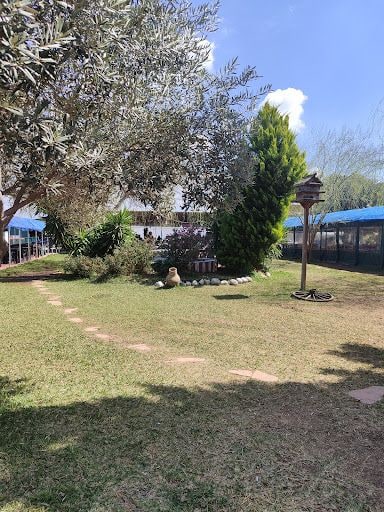 Fotoğraf 33