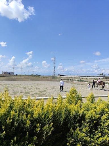 Fotoğraf 35
