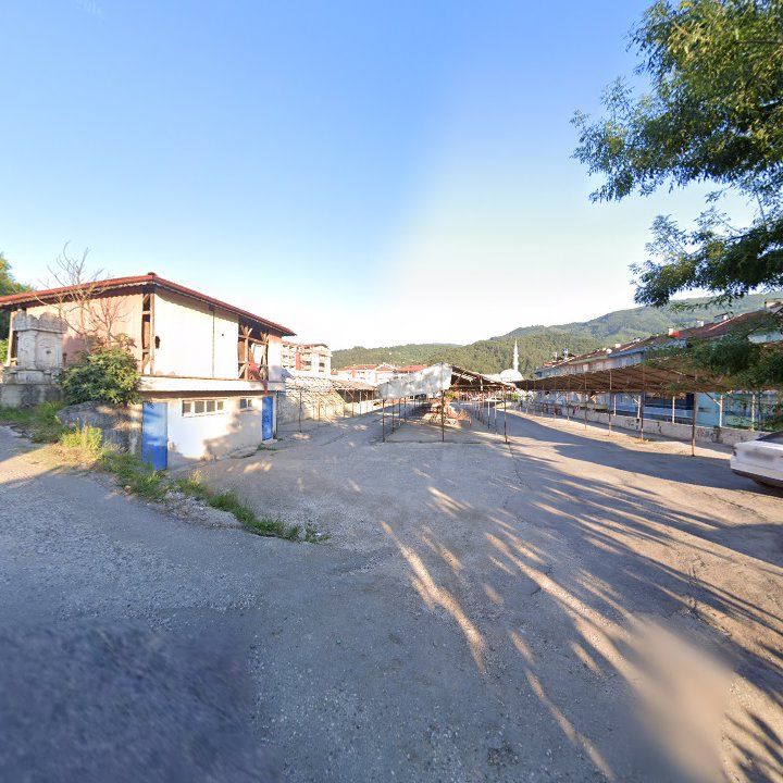 Fotoğraf 8