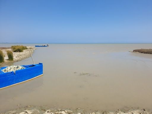 Yorum fotoğrafı 5