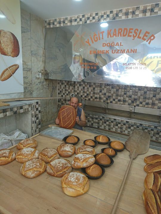 Fotoğraf 12