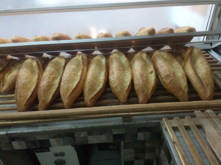 Fotoğraf 15