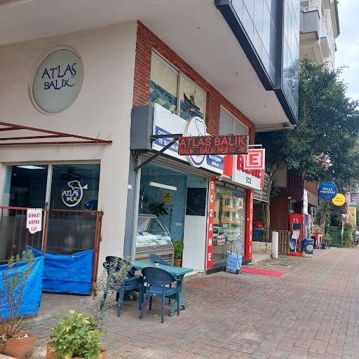 Yorum fotoğrafı 2