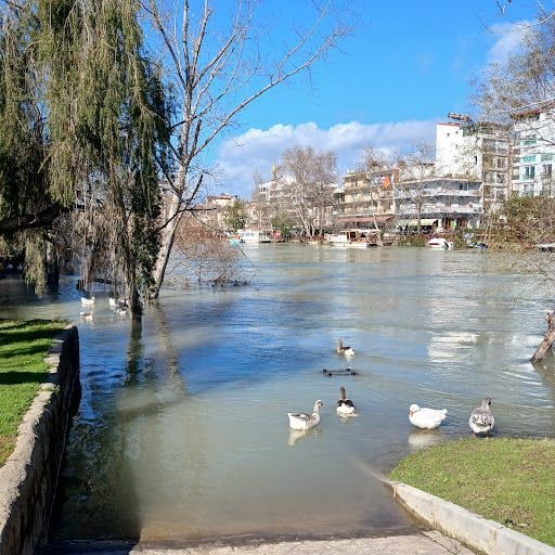 Yorum fotoğrafı 4
