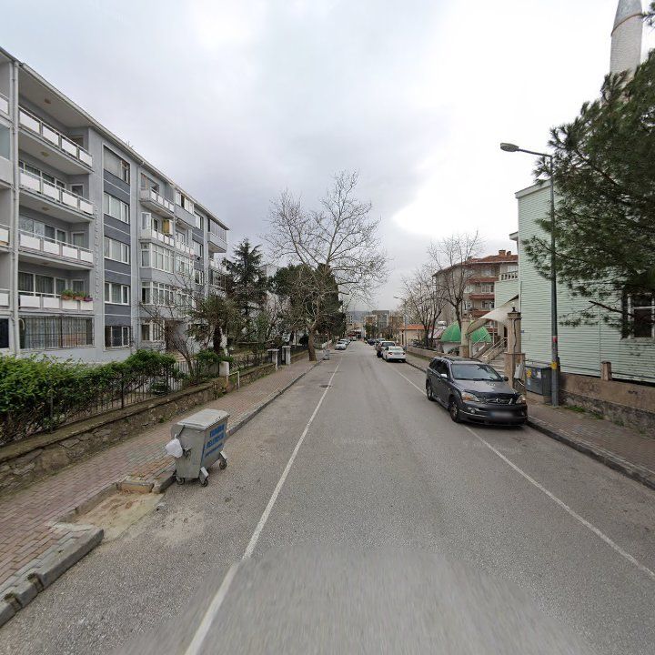 Fotoğraf 5