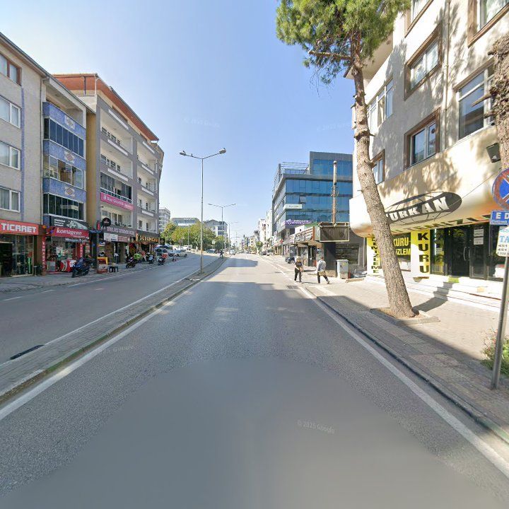 Fotoğraf 10