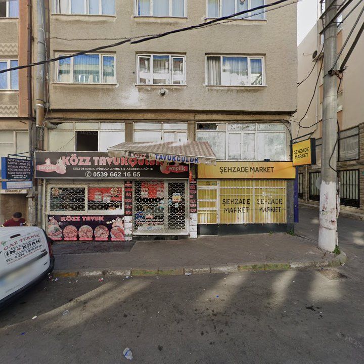 Közz Tavukçuluk
