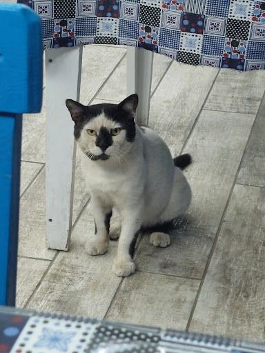 Fotoğraf 13