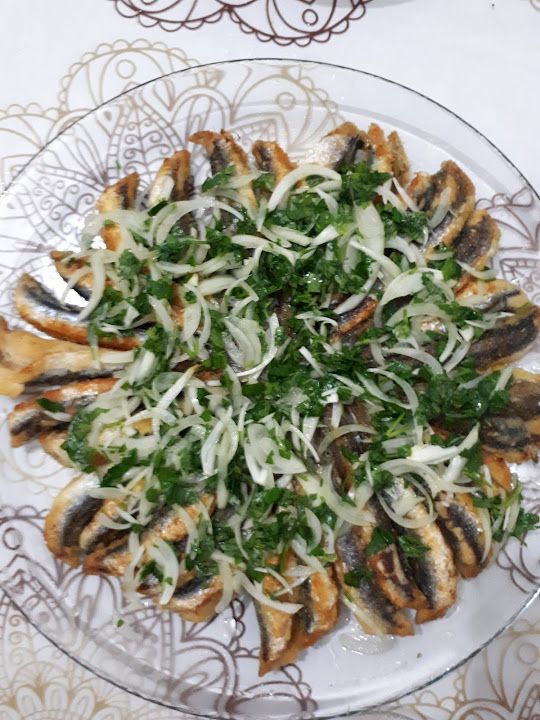 Fotoğraf 26
