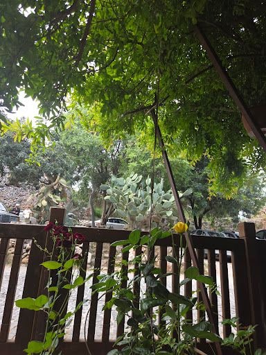 Yorum fotoğrafı 3