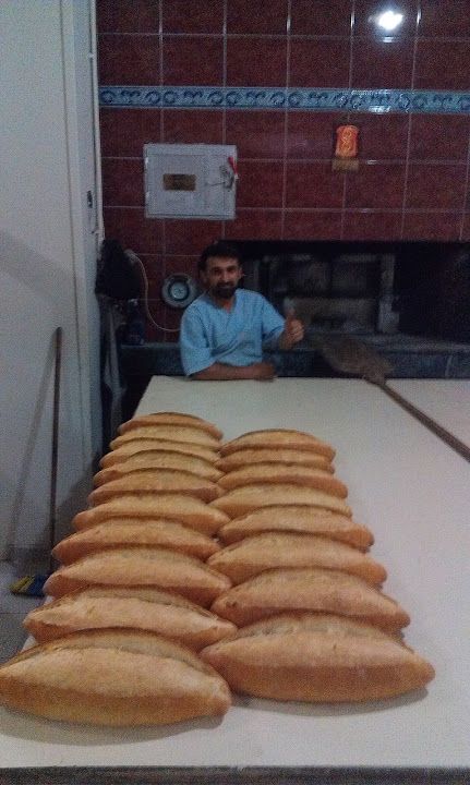 Fotoğraf 16