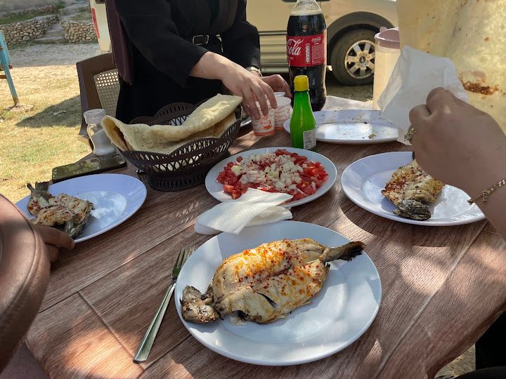 Yolkaya Köyü Alabalık Tesisis