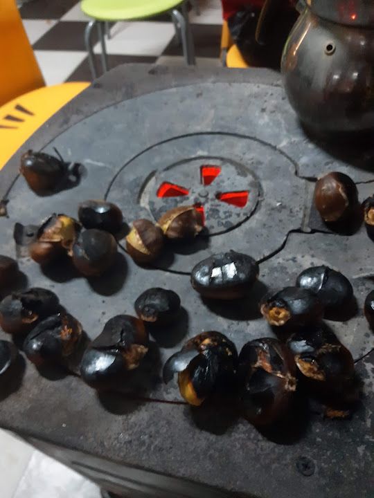 Fotoğraf 13