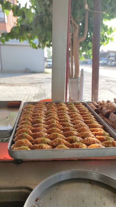 Fotoğraf 11