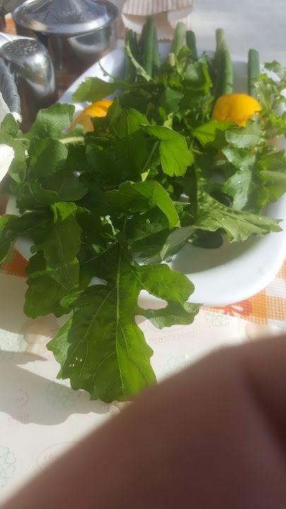 Fotoğraf 20