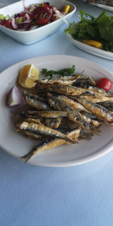 Fotoğraf 14