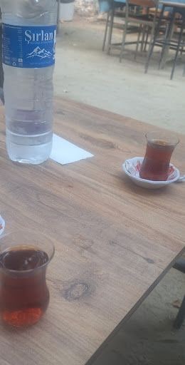 Fotoğraf 18