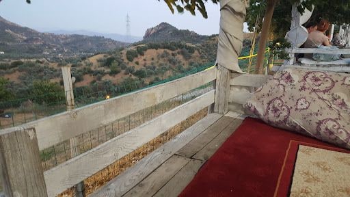 Fotoğraf 14