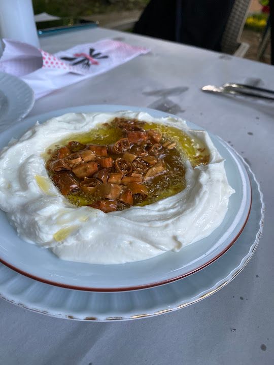 Fotoğraf 19