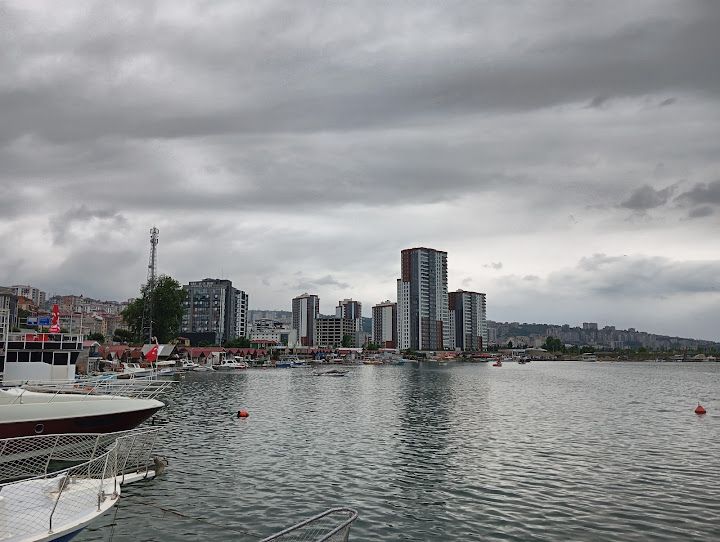 Deniz Yıldızı Balık Ekmek