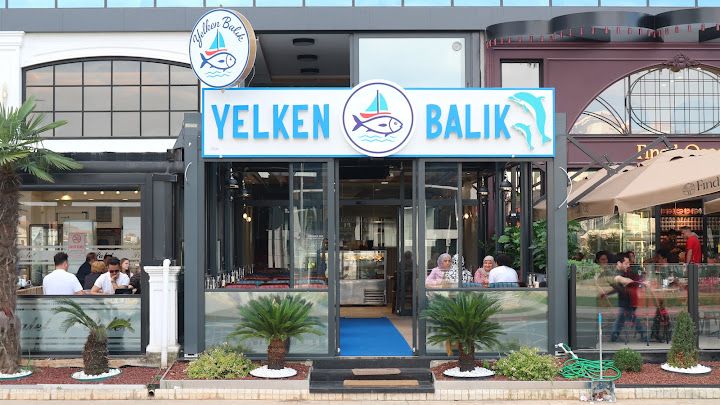 Yelken Balık